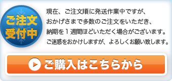 雪落とし革命 粉雪【送料無料】15,000円｜ご購入はこちらから
